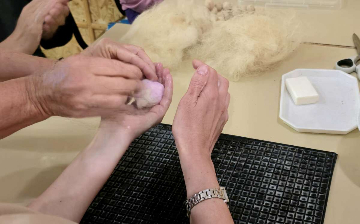 Візит у Вільшани: про покращення реабілітації, комунікації, благоустрою