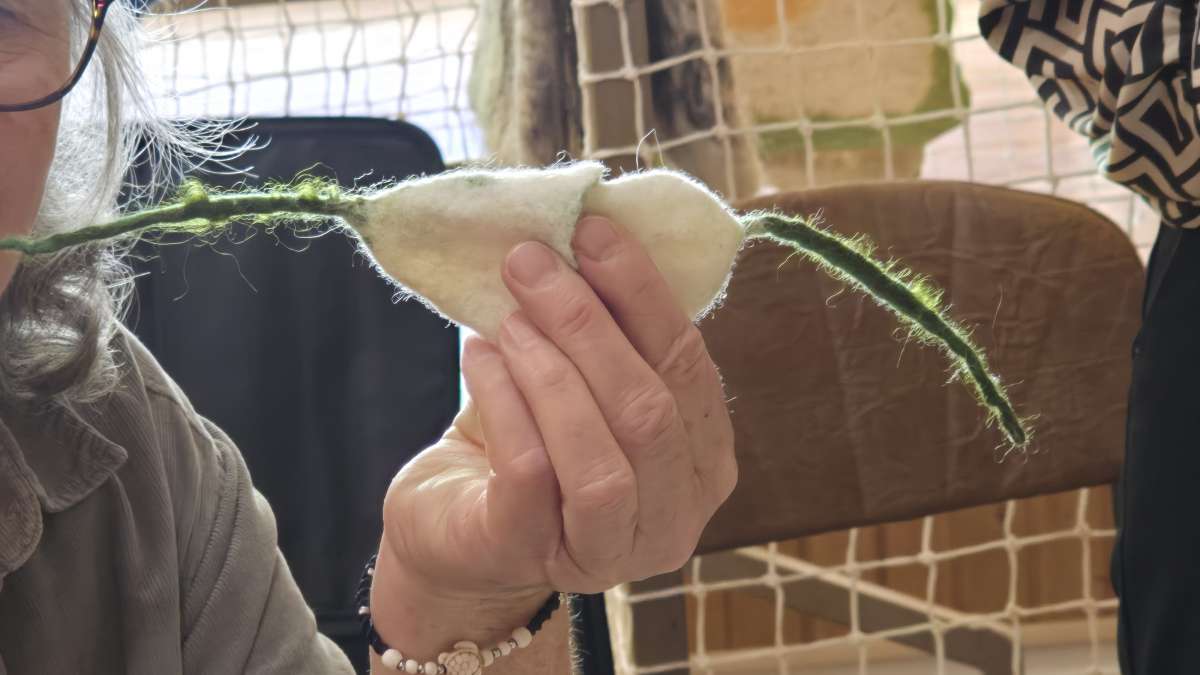 Візит у Вільшани: про покращення реабілітації, комунікації, благоустрою