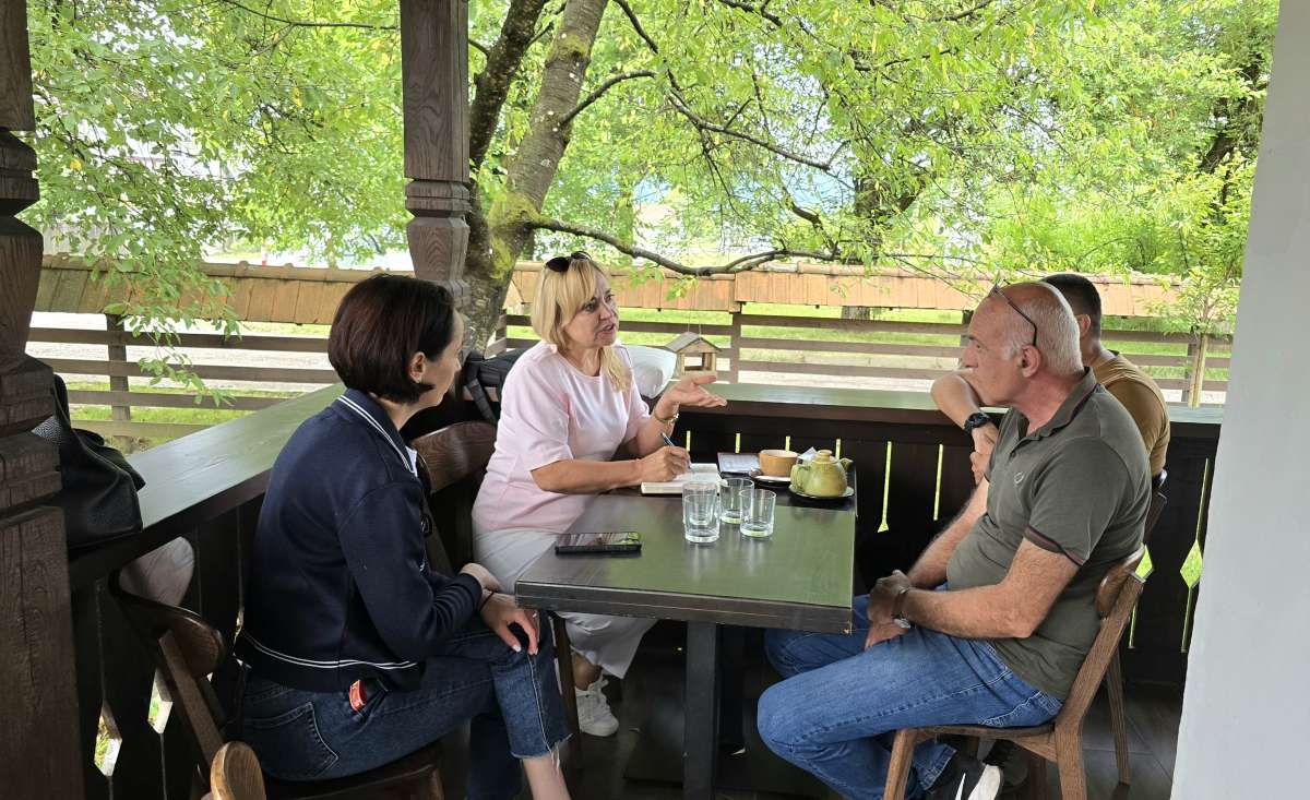 PHENIX на Закарпатті: почали аналітичні дослідження локацій реалізації проєкту