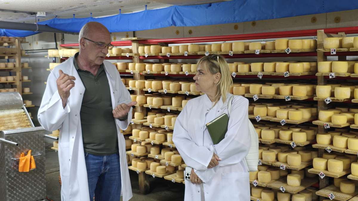 PHENIX на Закарпатті: почали аналітичні дослідження локацій реалізації проєкту