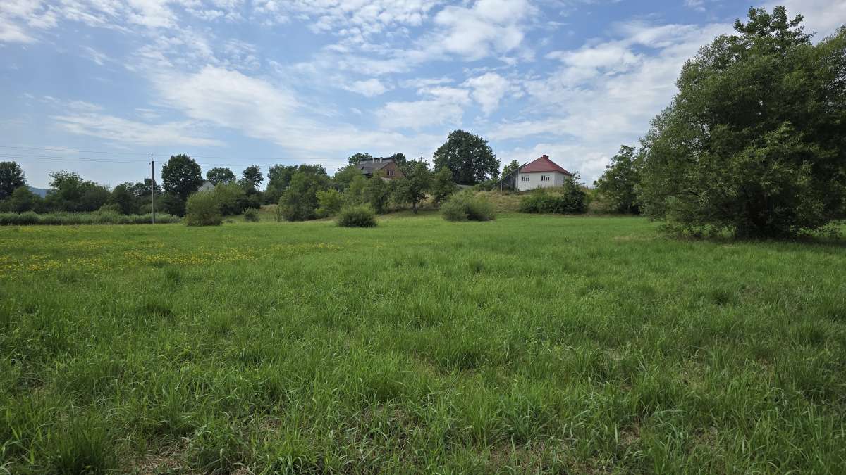 PHENIX на Закарпатті: почали аналітичні дослідження локацій реалізації проєкту