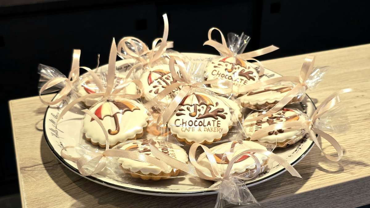 Насичений візит президії швейцарської Асоціації «Парасолька» до Закарпаття