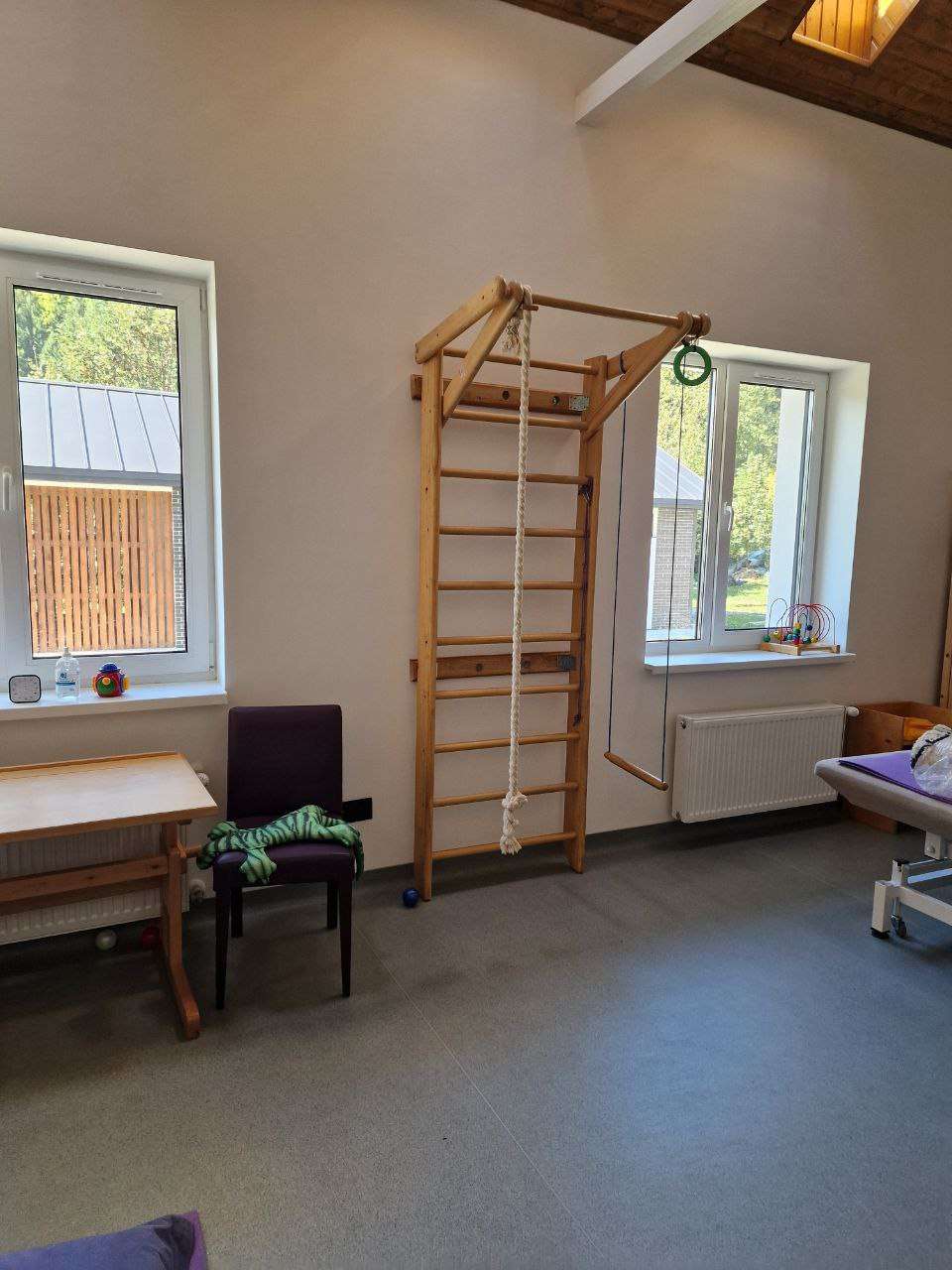 Серія майстер-класів від швейцарських фахівців відбулася у Вільшанському дитячому будинку-інтернаті