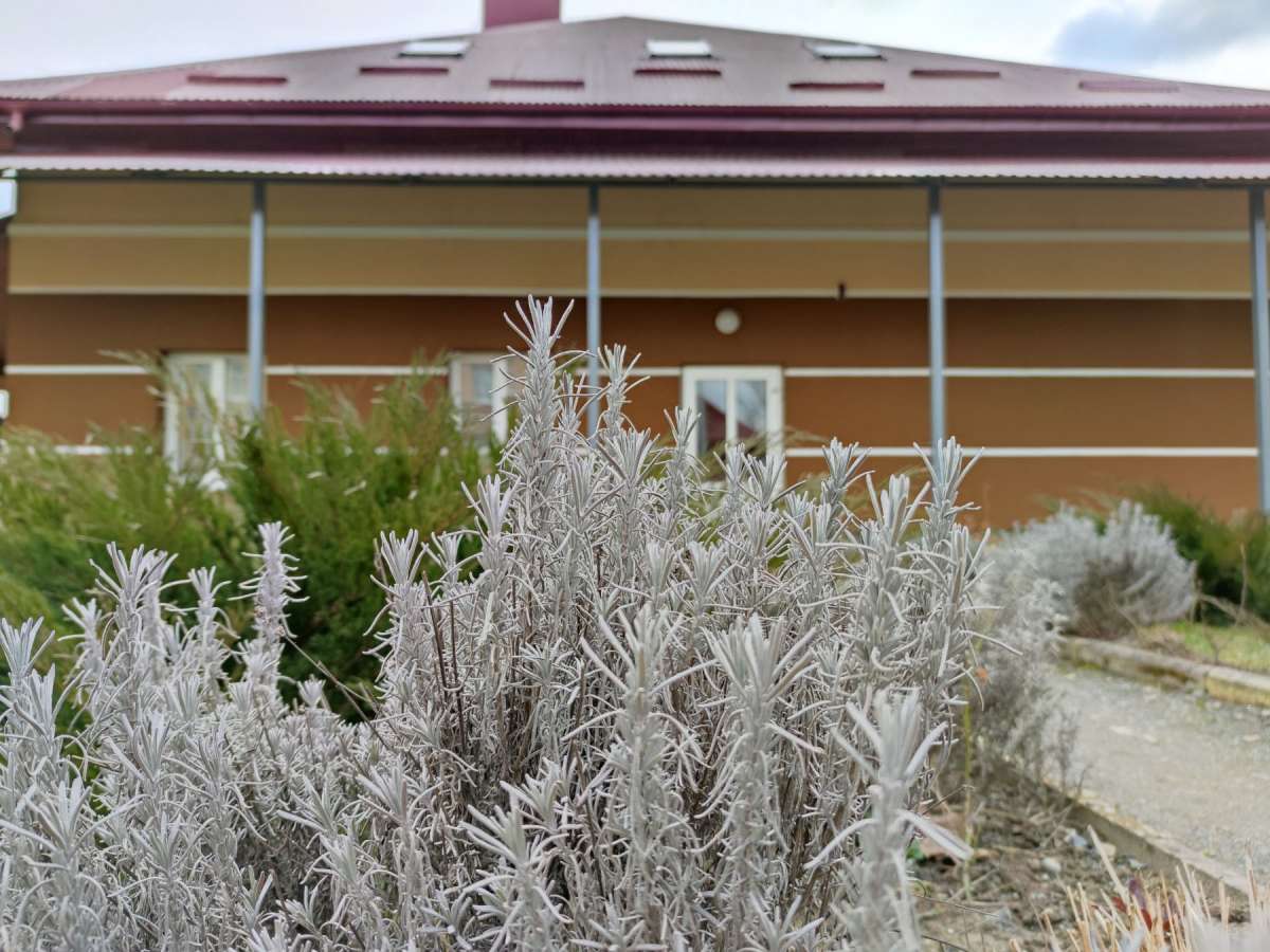 У «Парасольці» готуються до запуску роботи відділення з надання соціальних послуг